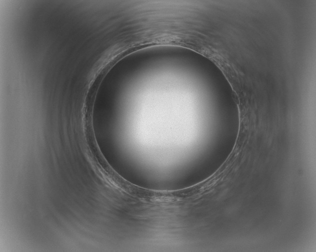 X0000075910242200609291805
