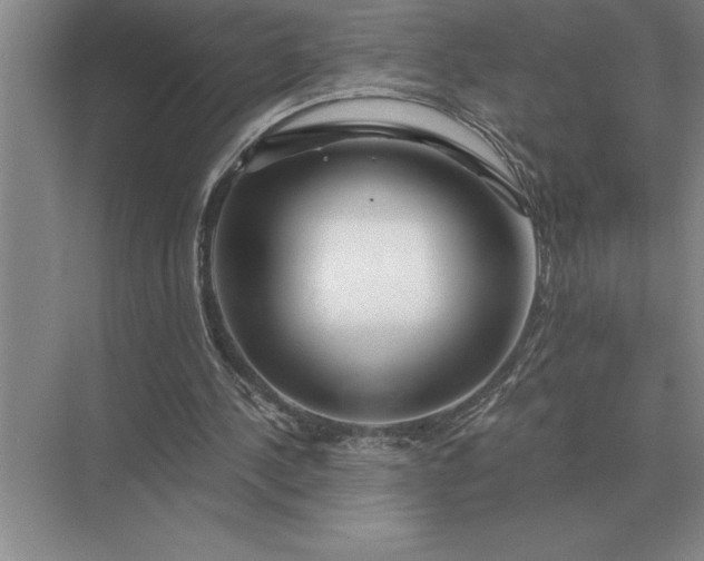 X0000075910244200609291805