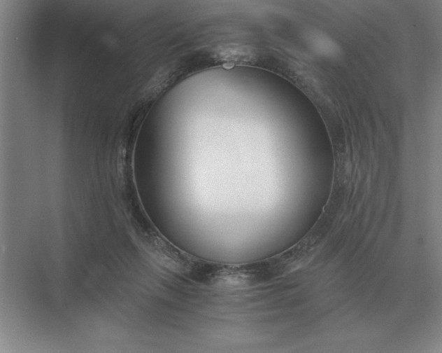 X0000075910263200609291805