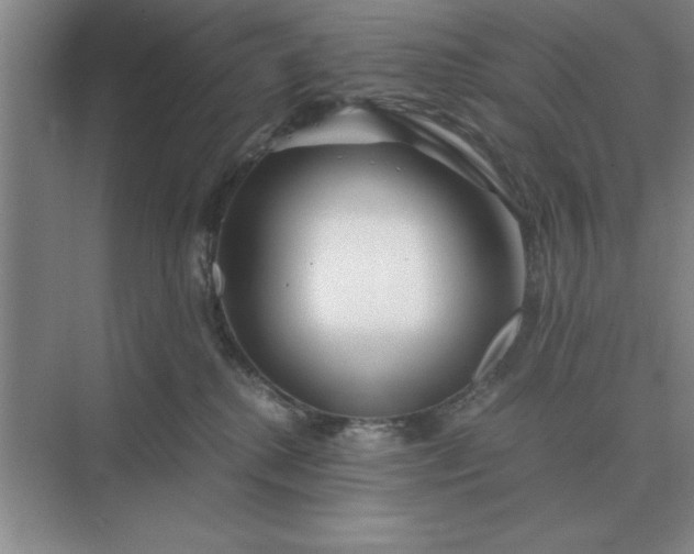 X0000075910280200609291806
