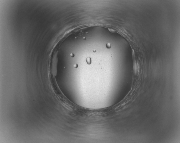 X0000075910291200609291805