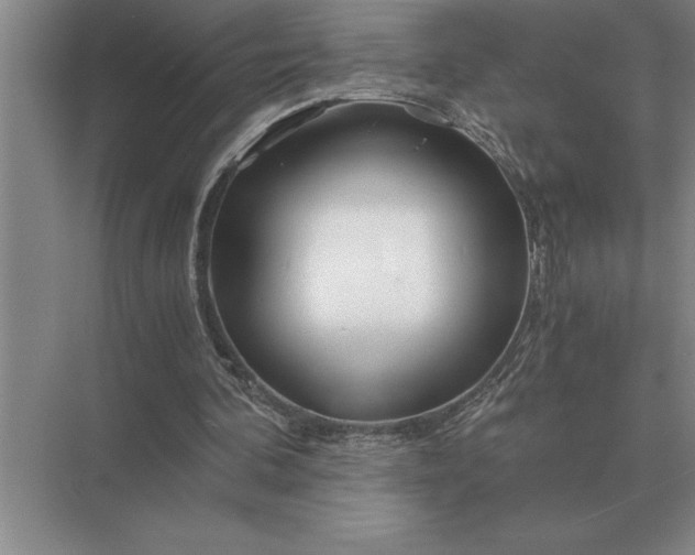 X0000075910292200609291805