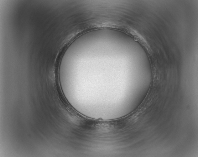 X0000075910298200609291805