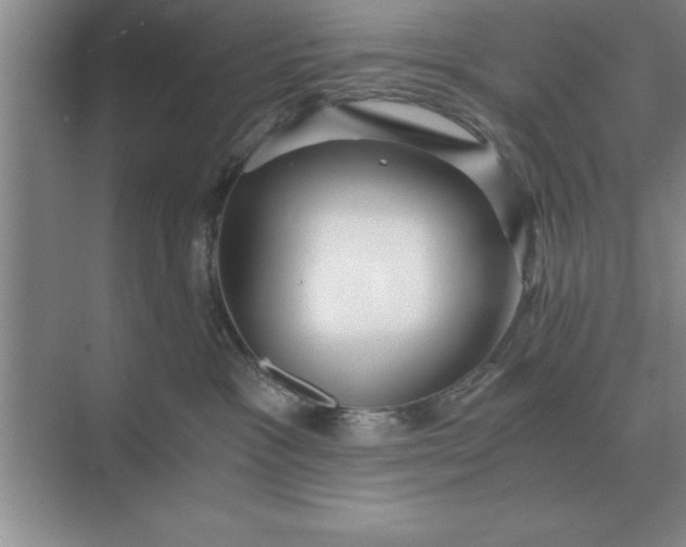 X0000075910333200609291804