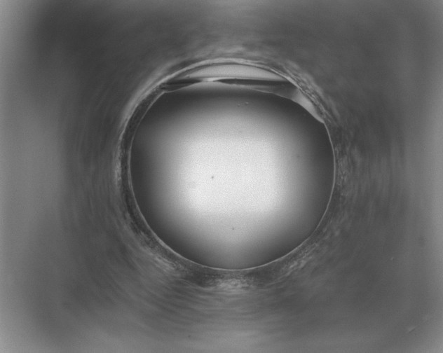 X0000075910344200609291803