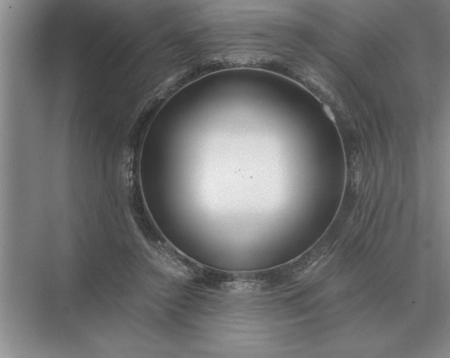 X0000075910356200609291804