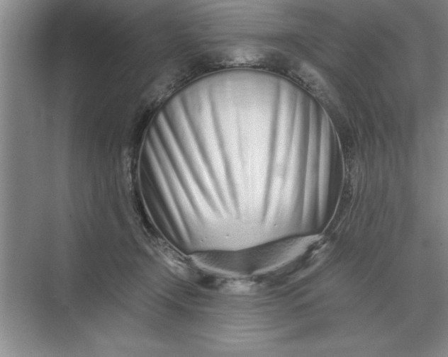 X0000075910366200609291804