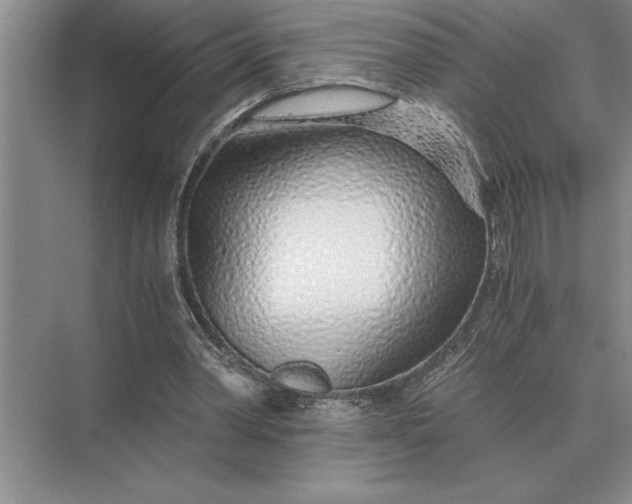 X0000075910390200609291803
