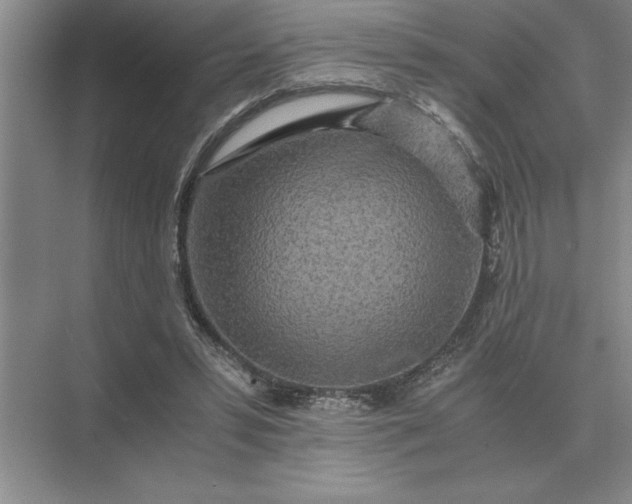 X0000075910399200609291803