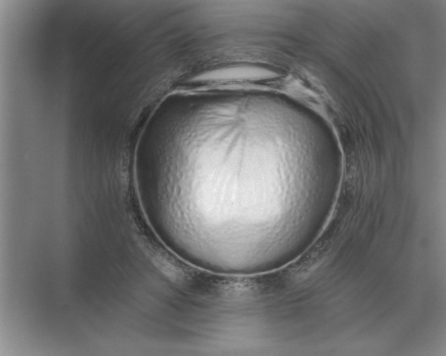 X0000075910402200609291803