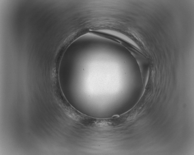 X0000075910407200609291803