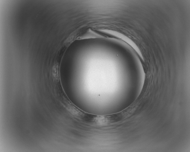 X0000075910425200609291803