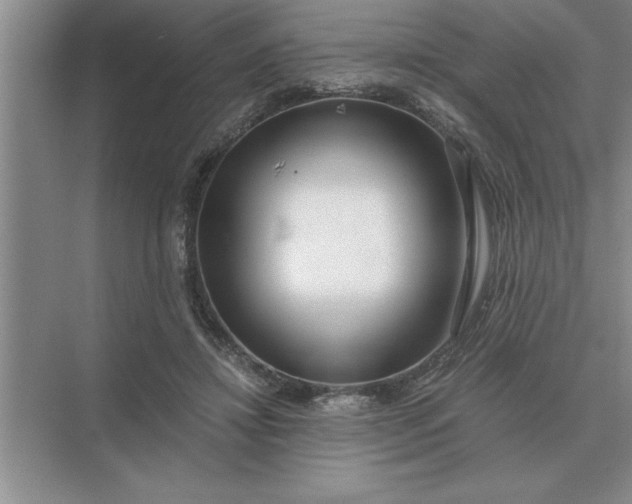 X0000075910452200609291802