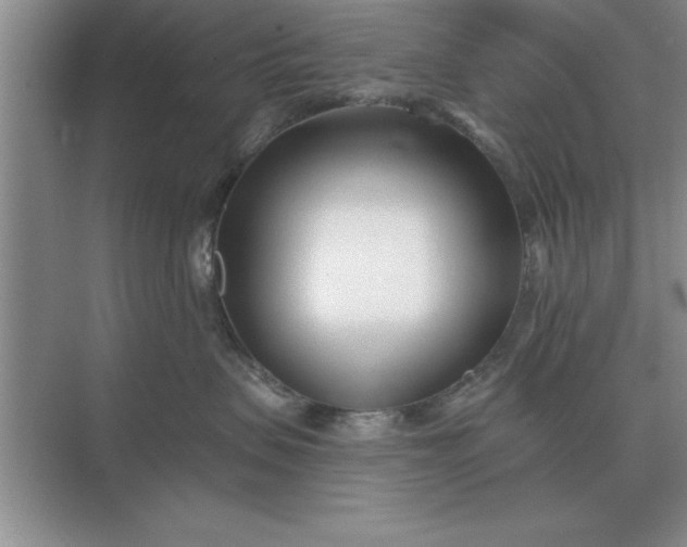 X0000075910479200609291802