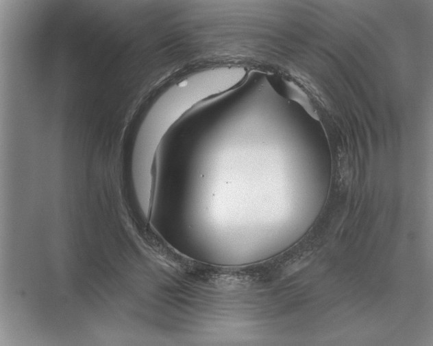 X0000075910494200609291801