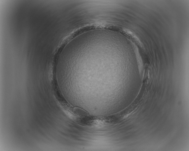 X0000075910496200609291801