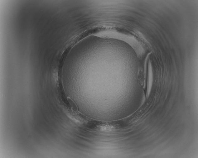 X0000075910500200609291801