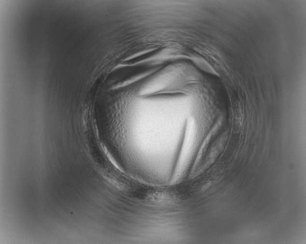 X0000075910503200609291801