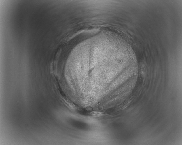 X0000075910519200609291801