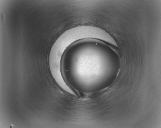 X0000075910528200609291801