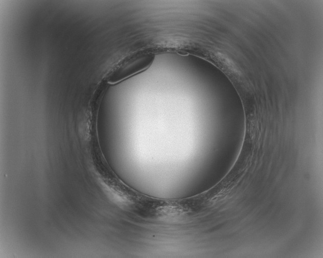 X0000075910544200609291800