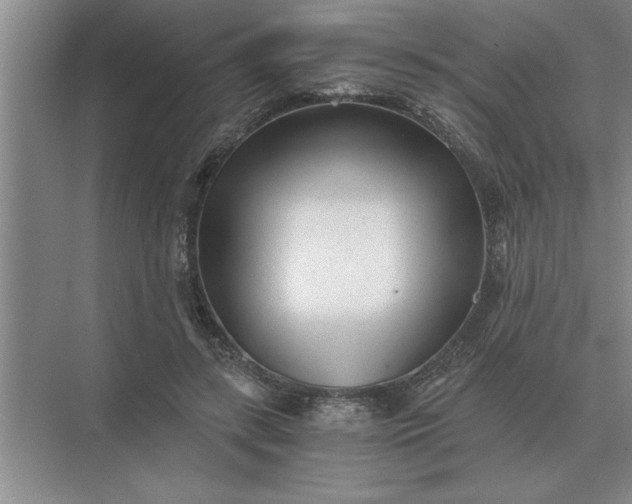 X0000075910547200609291800