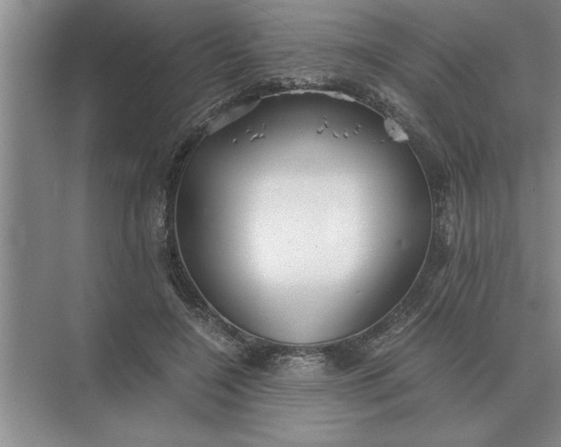 X0000075910548200609291800