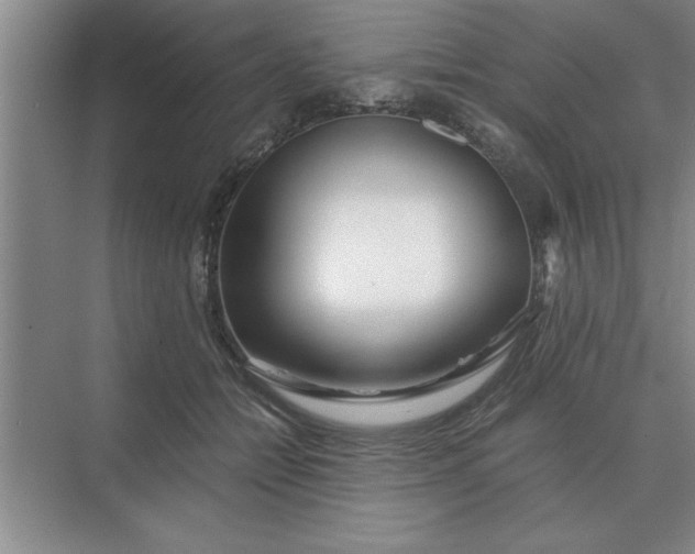 X0000075910558200609291800