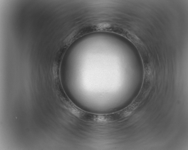X0000075910565200609291801