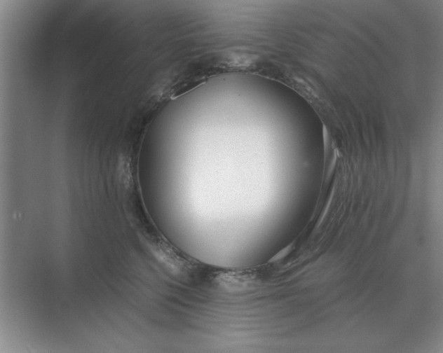 X0000075910568200609291801