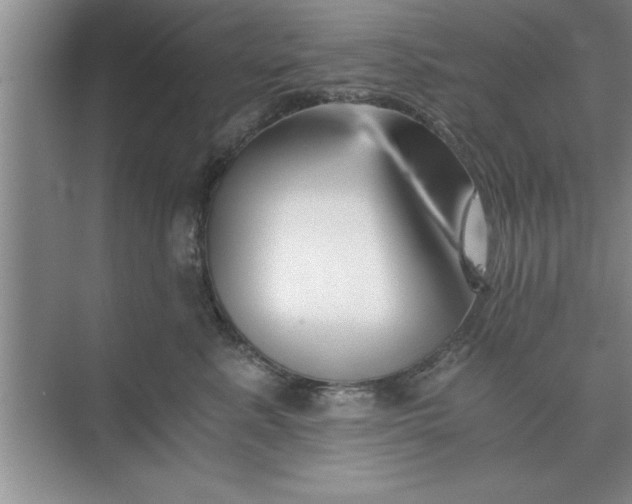 X0000075910619200609291759