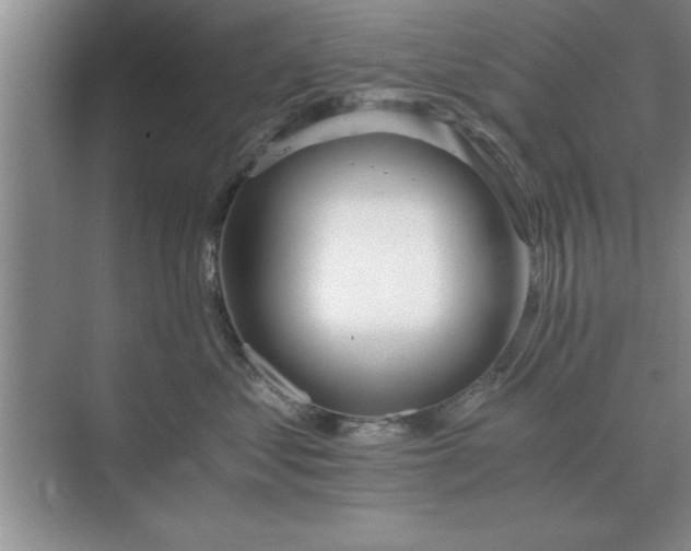 X0000075910621200609291759