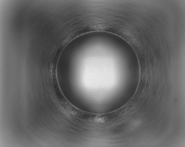 X0000075910647200609291759