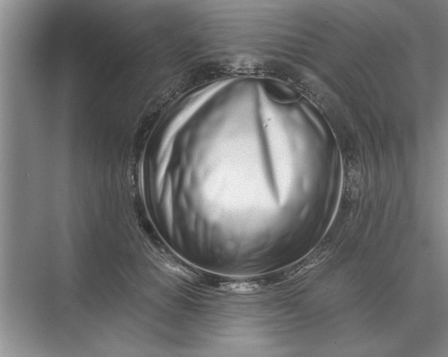 X0000075910654200609291759