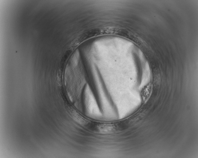 X0000075910661200609291759