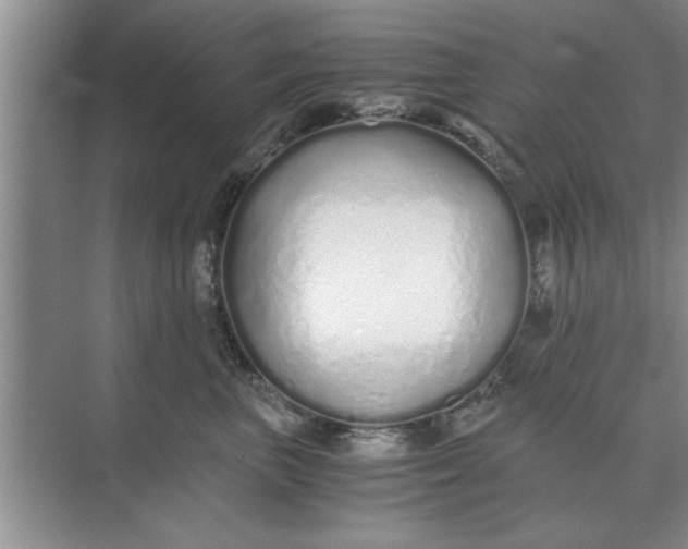 X0000075910667200609291759