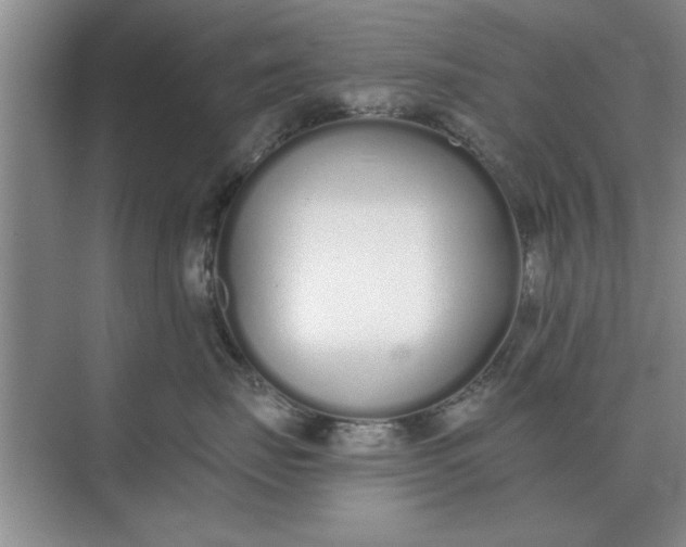 X0000075910671200609291759
