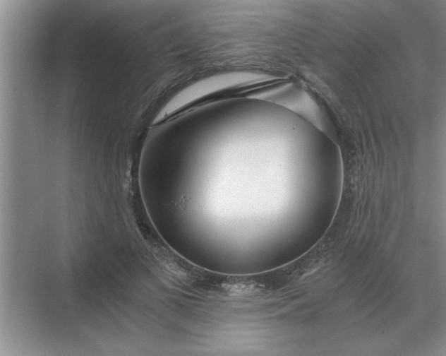 X0000075910693200609291758