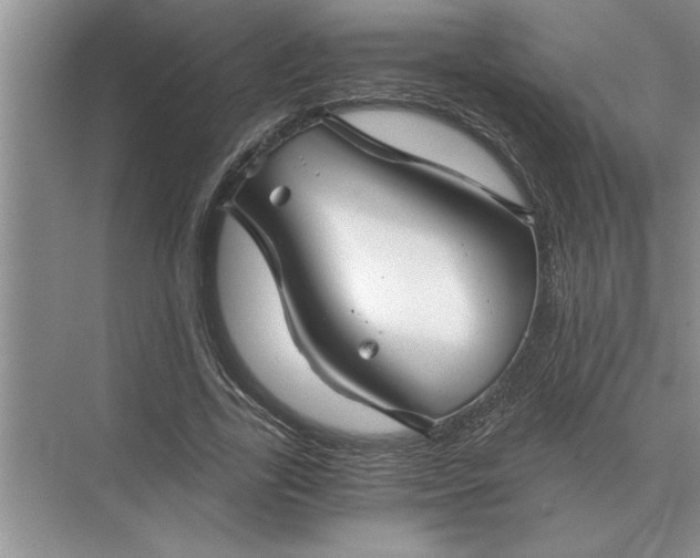 X0000075910731200609291757