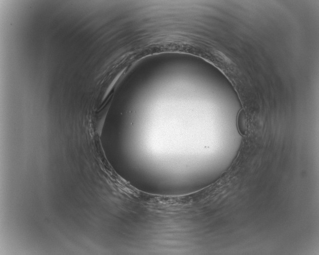 X0000075910774200609291757