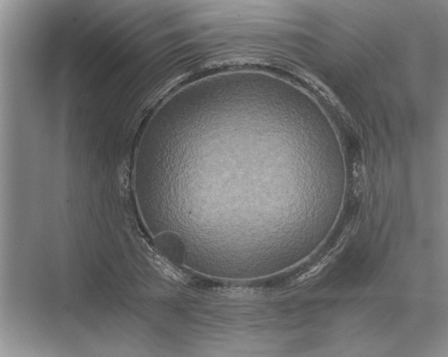 X0000075910785200609291756