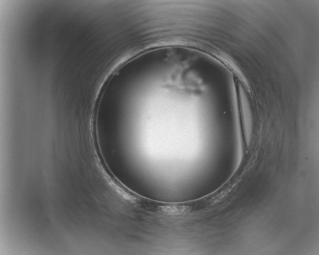 X0000075910805200609291756