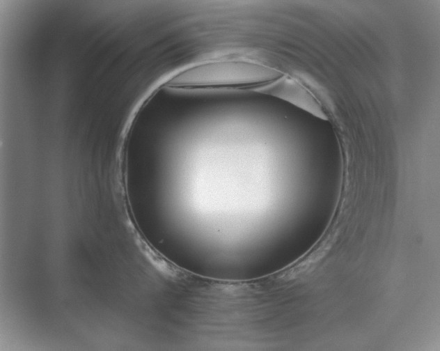 X0000075910816200609291756