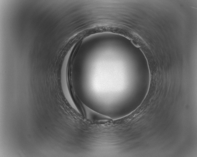 X0000075910822200609291755