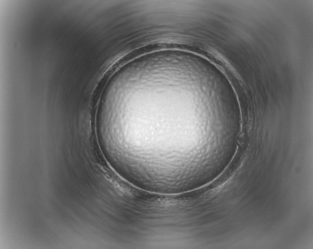X0000075910829200609291755