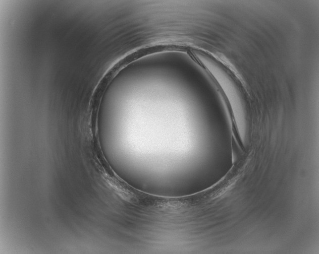 X0000075910830200609291755