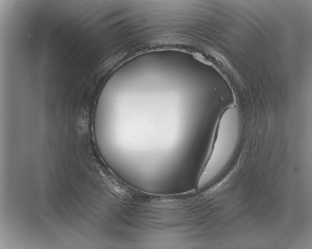 X0000075910833200609291755