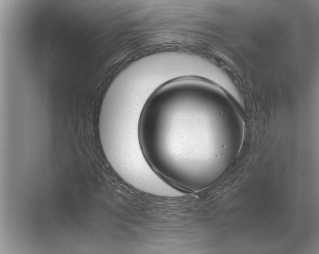 X0000075910869200609291755