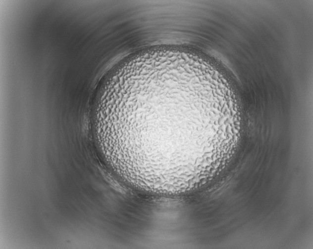 X0000075910874200609291755