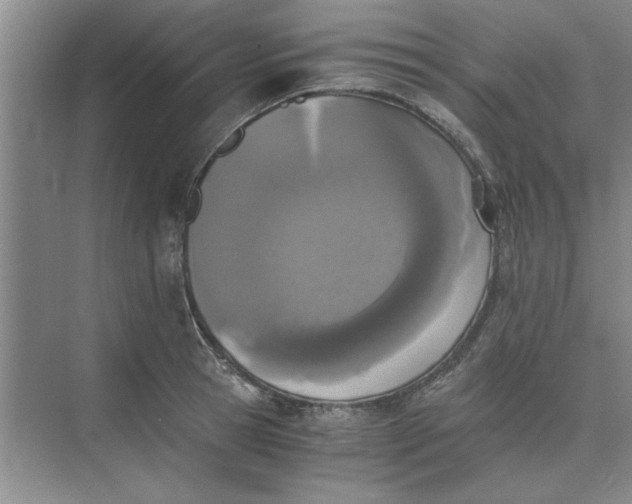 X0000075910945200609291754